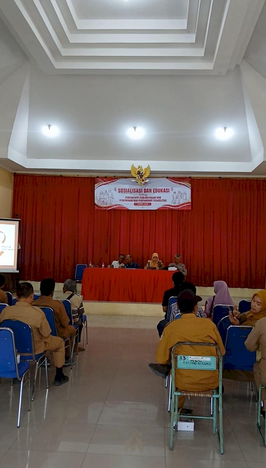 Sosialisasi Perlindungan dan Pemenuhan Hak Penyandang Disabilitas